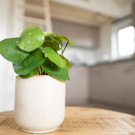 Tatil Evi Bis 4 Personen Ohne Hund Norden